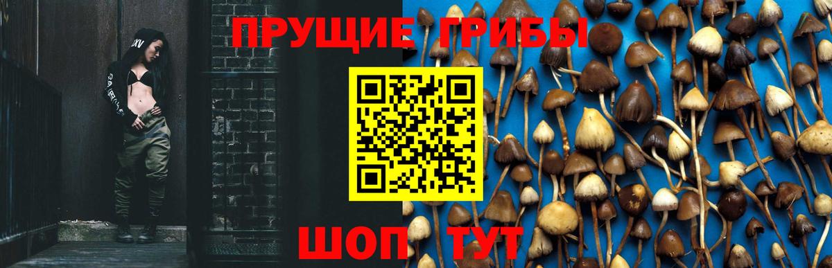 Псилоцибиновые грибы мухоморы Ессентуки