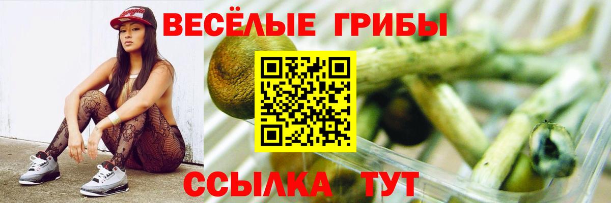 Псилоцибиновые грибы Magic Shrooms  Галлюциногенные грибы GOLDEN TEACHER  магазин    Вход с VPN  Ессентуки 
